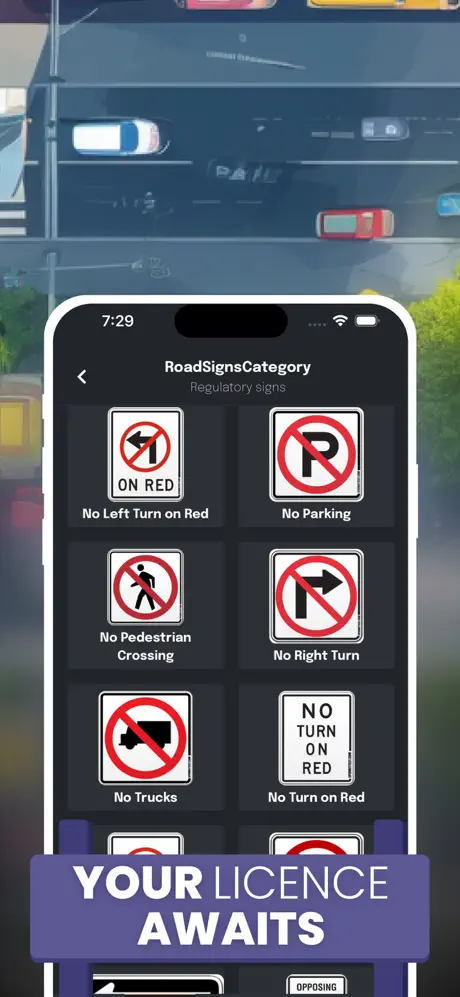 Driving Theory USA screenshot 1